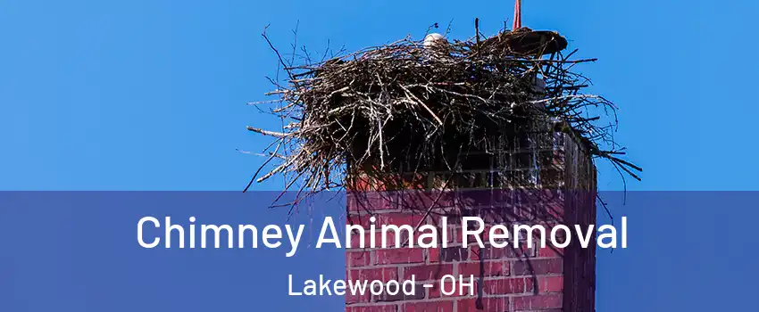 Chimney Animal Removal Lakewood - OH