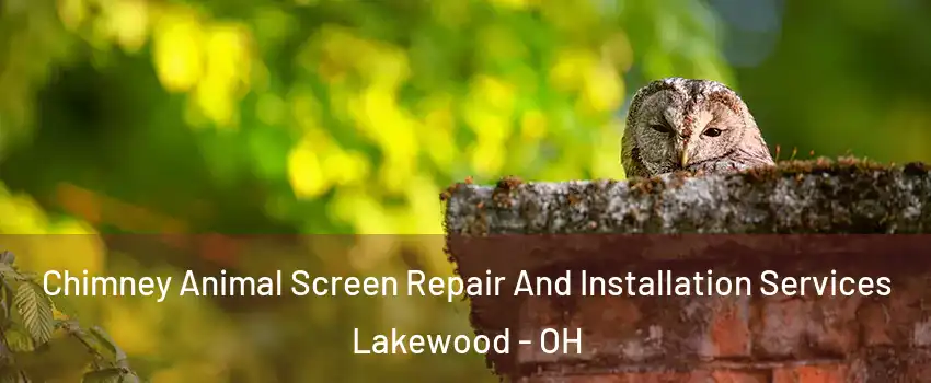  Chimney Animal Screen Repair And Installation Services Lakewood - OH