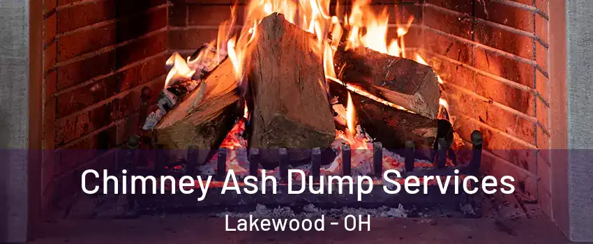  Chimney Ash Dump Services Lakewood - OH