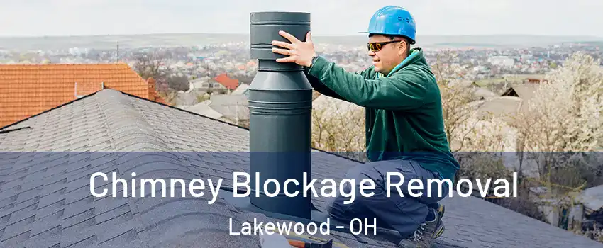  Chimney Blockage Removal Lakewood - OH