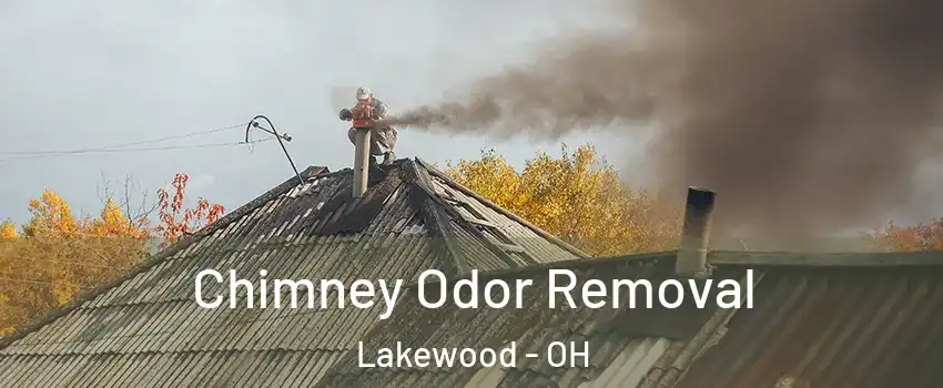  Chimney Odor Removal Lakewood - OH