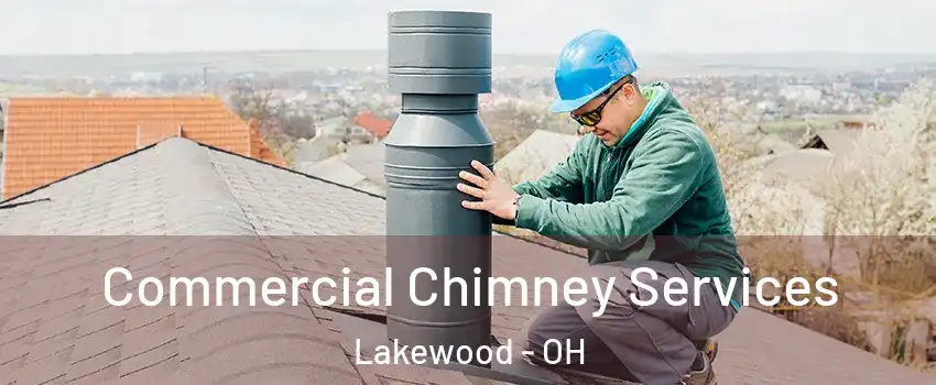  Commercial Chimney Services Lakewood - OH