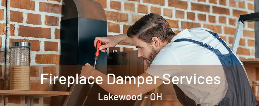  Fireplace Damper Services Lakewood - OH
