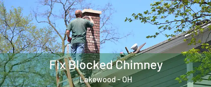  Fix Blocked Chimney Lakewood - OH
