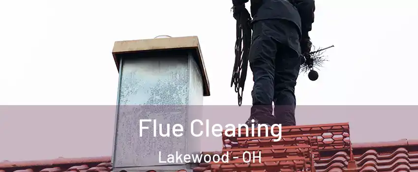  Flue Cleaning Lakewood - OH