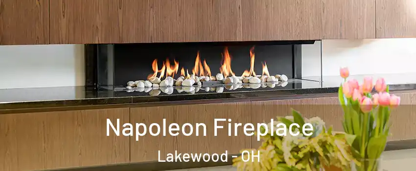  Napoleon Fireplace Lakewood - OH